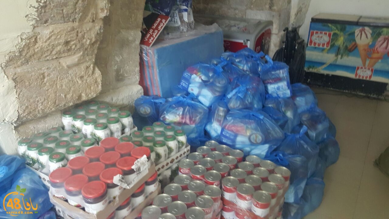 torid lud 3i984 (1).jpeg